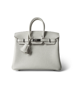 Hermes Birkin 25 Mushroom Togo Palladium Plated [Grey]🩶